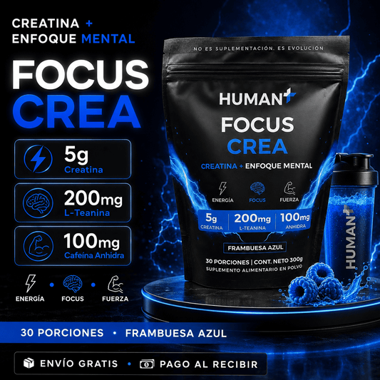 FOCUS CREA HUMAN+